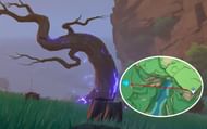 The fifth tree's location, along with a map of where to find it (Image via Genshin Impact)